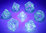Borealis Purple/white LUMINARY™ (7-Würfelset)
